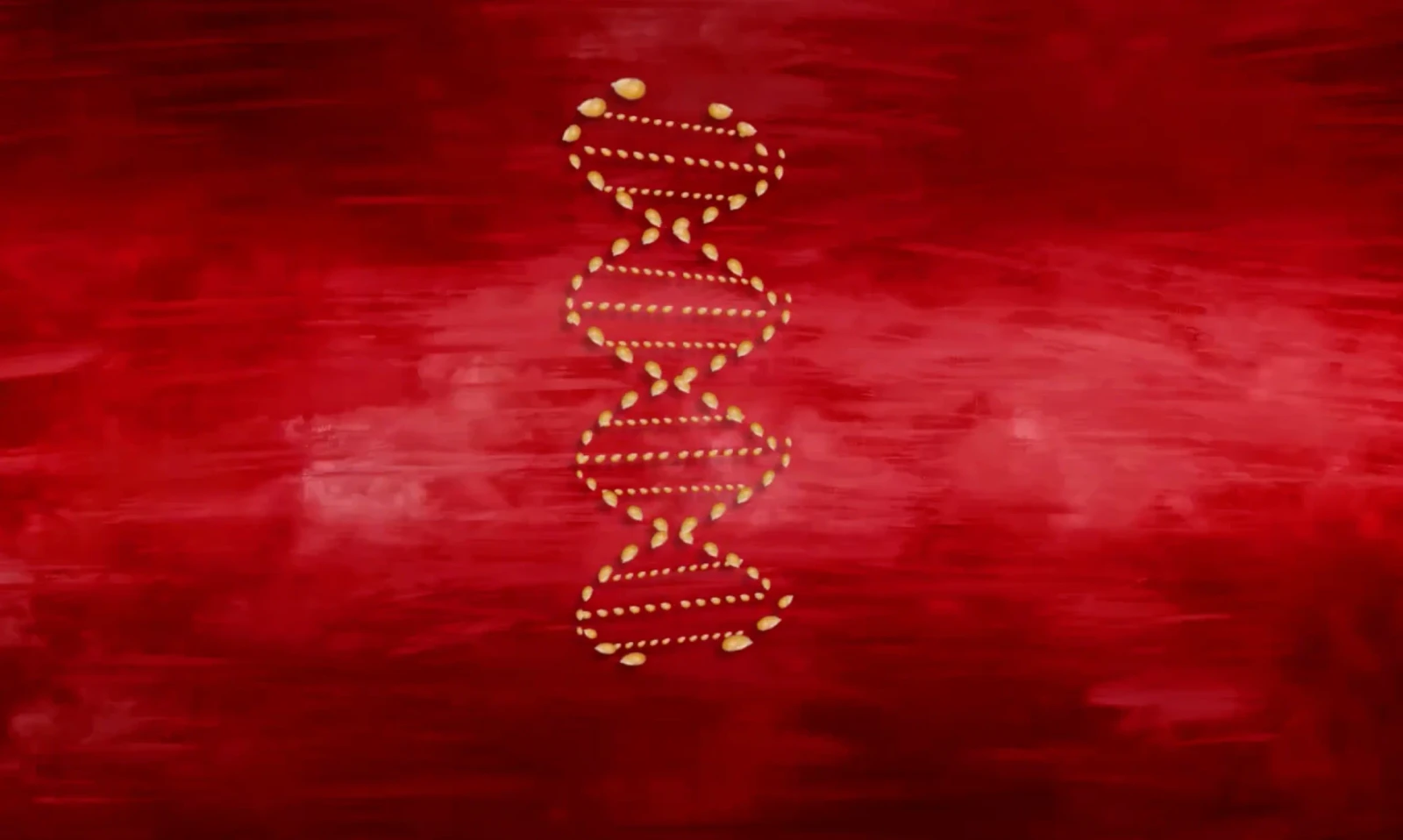Bande-annonce du Festival StopTrik 2024