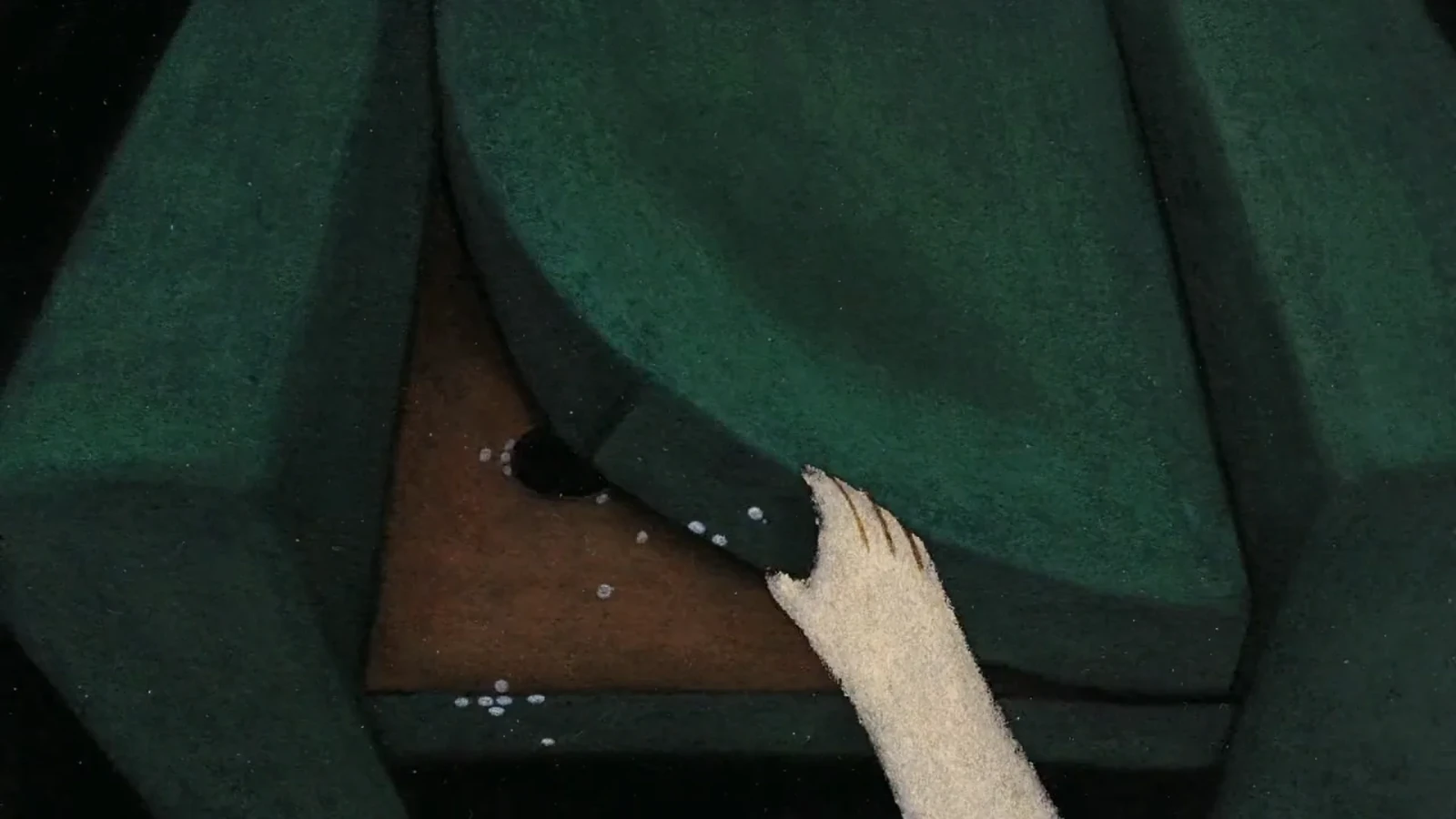 Cocoon
