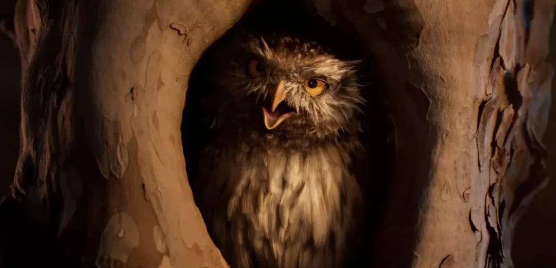 Enedis "Les Oiseaux"