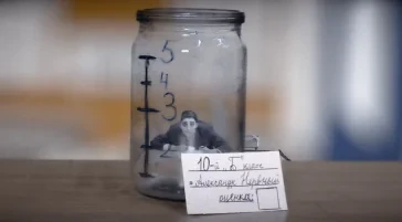 Finding Brains