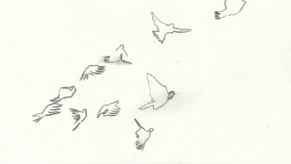 Pigeon Holding