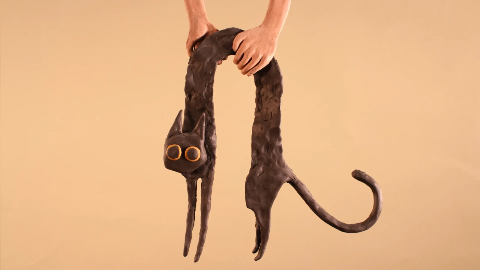 Cats are liquid