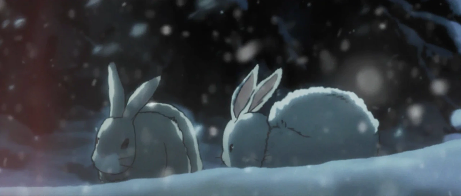 The Girl Who Walked on Snow