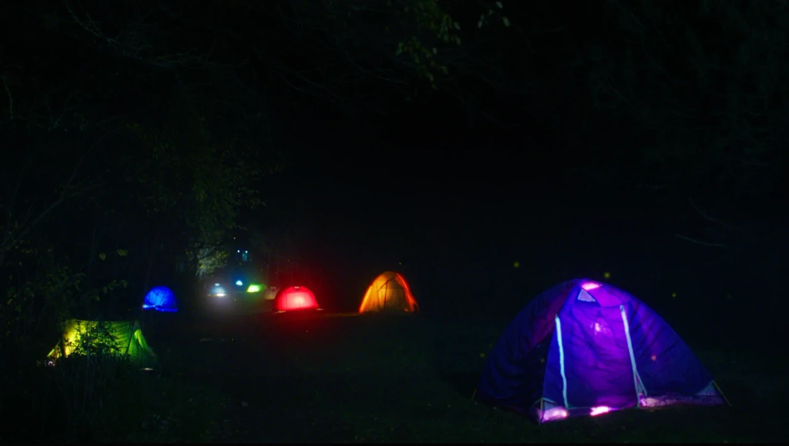 Where Fireflies Sparkle