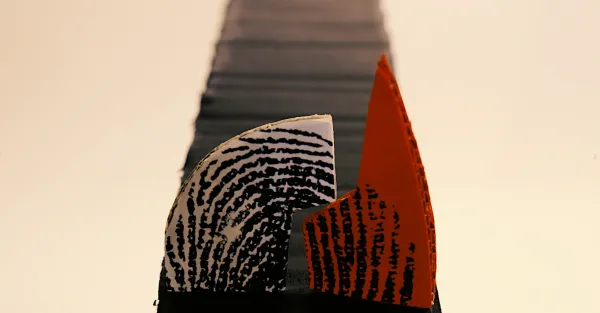 Fragmented Finger Prints by 4th grade students from primary schools in the municipality of Montemor