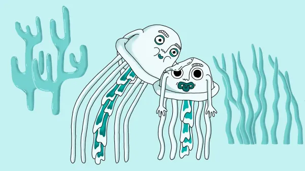 5 Reasons why I don’t trust Jellyfish by Shenja Tatschke