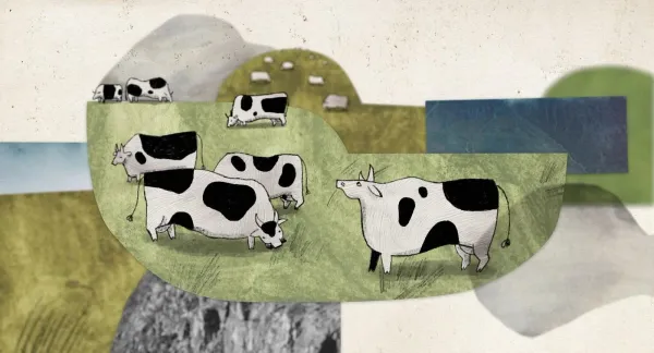 About a Cow by Pavla Baštanová
