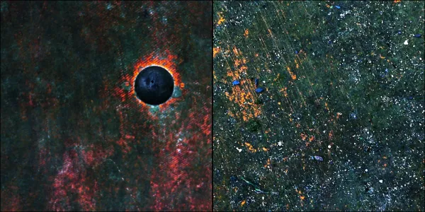 All Rot by Max Hattler
