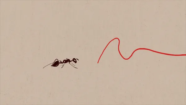 Ants' Songs by Sasha Svirsky