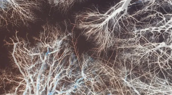 As Light as Air