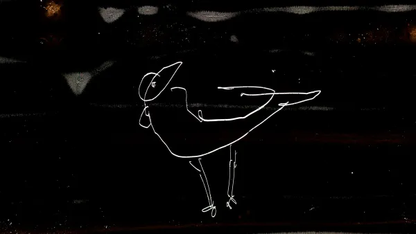 Bird Milk