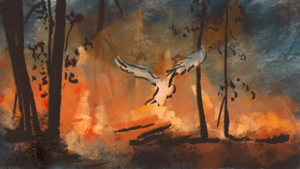 Chicken  by Anna Benner