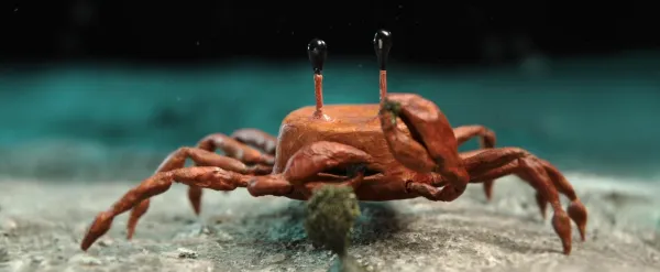 Crab by Piotr Chmielewski
