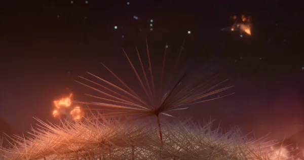 Dandelion's Odyssey by Momoko Seto