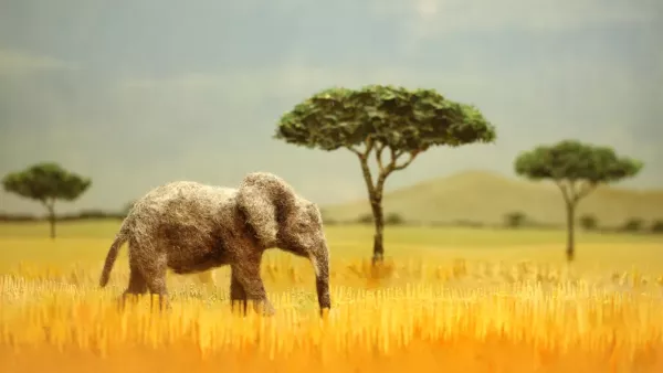 Does Planting Trees Actually Cool the Planet? by Thomas Johnson Volda, Ivana Bošnjak Volda