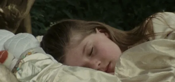 A Dream Longer Than the Night