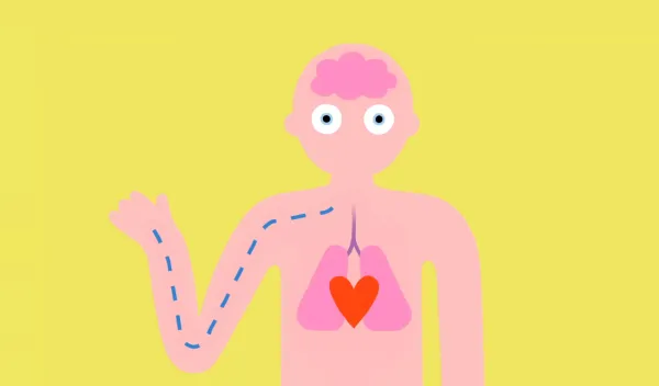 TedEd ‘Can Saunas Make You Live Longer?’  by Noam Sussman, Ali Kellner