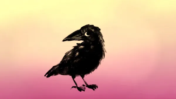 Feathers and Whispers by Hélène Ducrocq