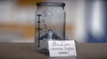 Finding Brains