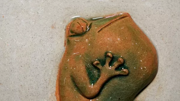 Frozen Frog by Yiyang Sun