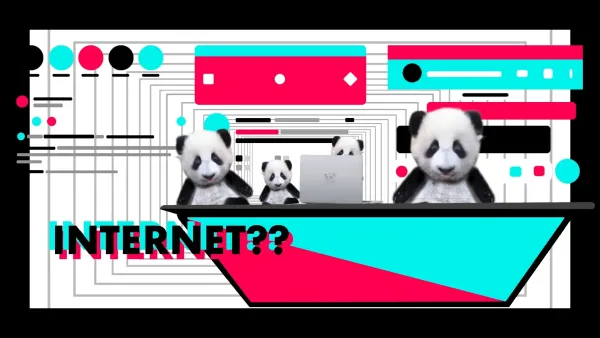 Internet Gaga
