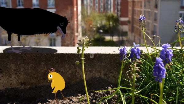 Kiki the Feather