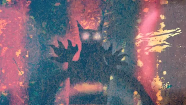 Late Night by Cat Bruce