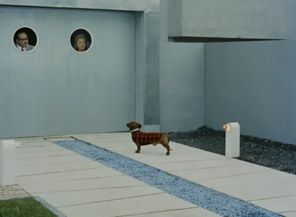 Mon Oncle