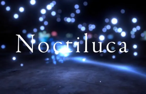 Noctiluca by LuminaPalette