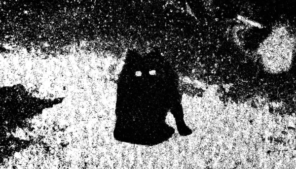 Lower Resolution – Head (feat. Lena Lies) by Marián Vredík