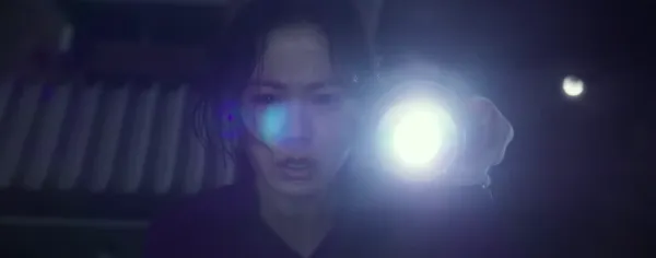 No Other Choice by Park Chan-wook