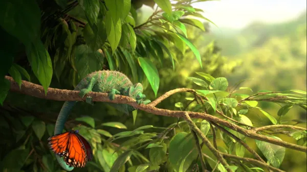 Our Wonderful Nature - The Common Chameleon