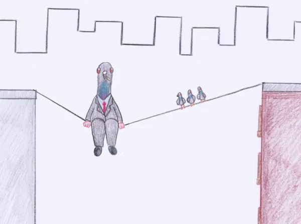 Pigeon Businessman