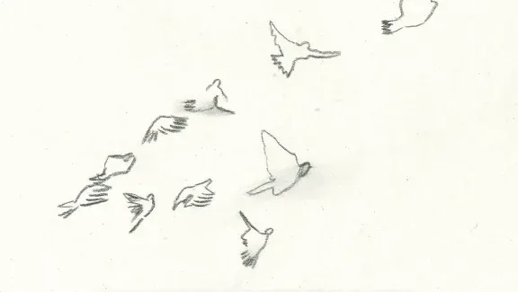 Pigeon Holding