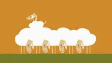 Sheep  by Julia Ocker