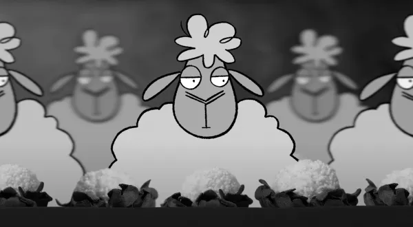 Sheep Well by Jop Kraaijkamp
