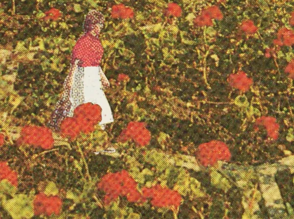 Sky like Silk. Full of Oranges by Betina Kuntzsch