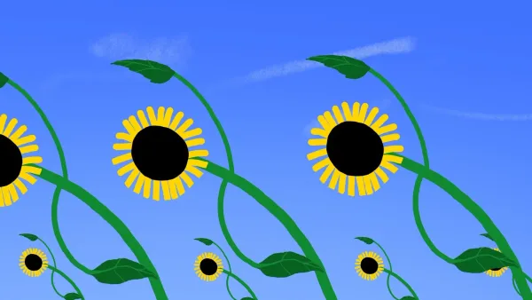 Sunflower by Natalia Chernysheva