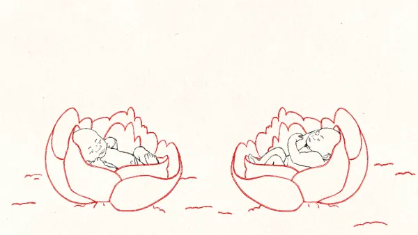 The Birds by Christel Hortz