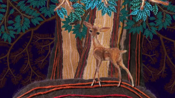 The life of a real deer
