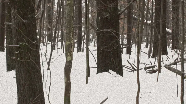 The Lost Season