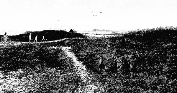 The Shoreline by Sophie Racine