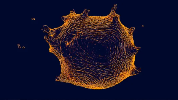 Tunable Mimoid by Vladimir Todorović