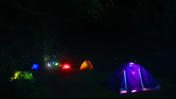 Where Fireflies Sparkle