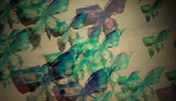 Without Wings
