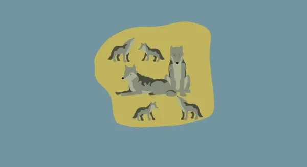 WOLVES IN SCANDINAVIA by Roberto Lo Monaco