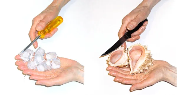 Body Proxy by Danny Cannizzaro, Samantha Gorman