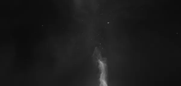 A Ladder by Scott Barley